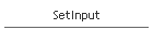 SetInput